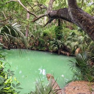 Green springs wallpaper