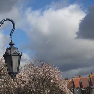 London street spring wallpaper