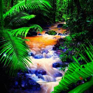 Green springs wallpaper