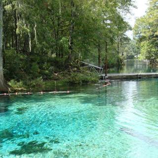 Green springs wallpaper