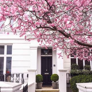 London street spring wallpaper