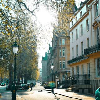 London street spring wallpaper