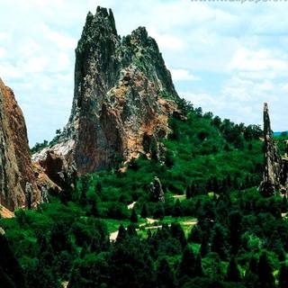 Green springs wallpaper