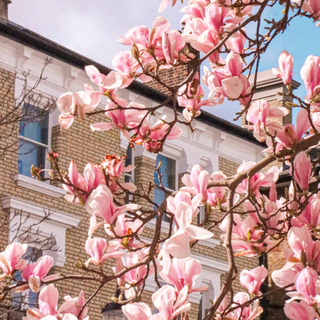 London street spring wallpaper
