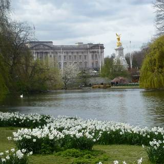 London street spring wallpaper