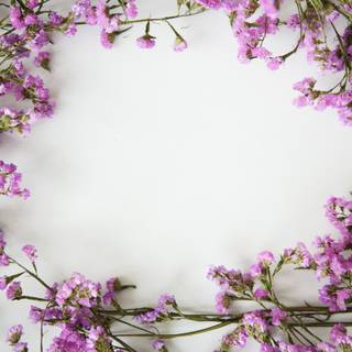 Spring minimalist purple wallpaper