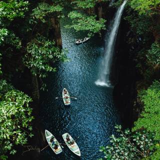 Green springs wallpaper