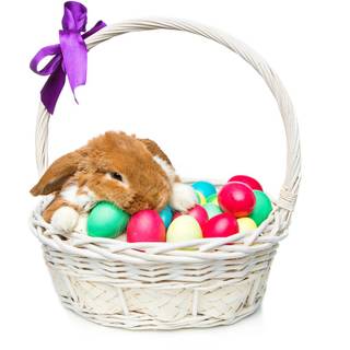 Easter bunny eggs wallpaper