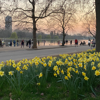 London street spring wallpaper