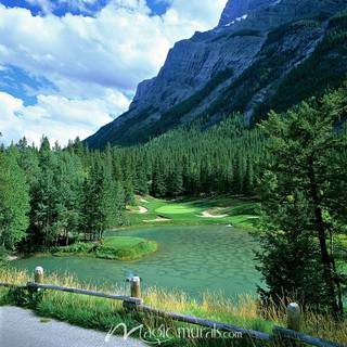 Green springs wallpaper