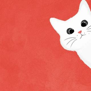 Preppy cat wallpaper
