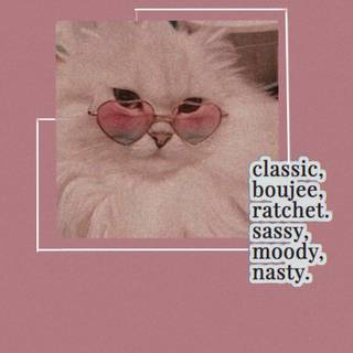 Preppy cat wallpaper