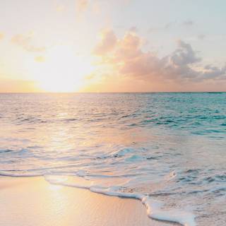 Preppy ocean wallpaper