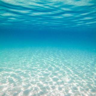 Preppy ocean wallpaper