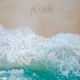 Preppy ocean wallpaper