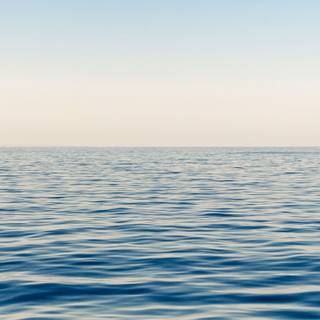 Preppy ocean wallpaper