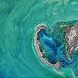 Preppy ocean wallpaper