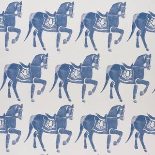 Marwari horse wallpaper