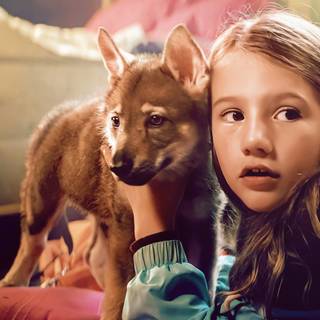 Vicky and Her Mystery wallpaper