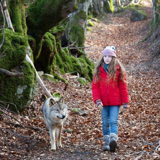 Vicky and Her Mystery wallpaper