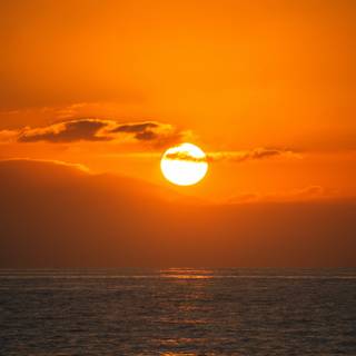 Orange sunset evening wallpaper