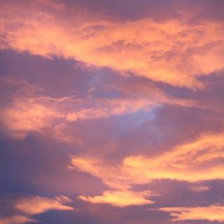 Orange sunset evening wallpaper