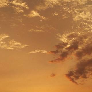 Orange sunset evening wallpaper