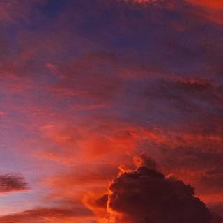 Orange sunset evening wallpaper