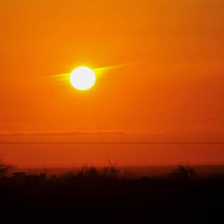 Orange sunset evening wallpaper