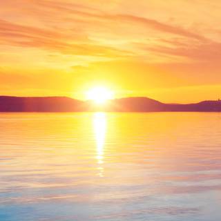 Orange sunset evening wallpaper