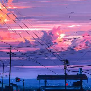 Orange sunset evening wallpaper