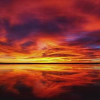 Orange sunset evening wallpaper