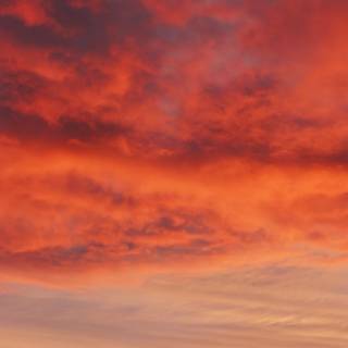 Orange sunset evening wallpaper