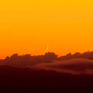 Orange sunset evening wallpaper