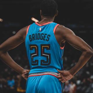 Mikal Bridges wallpaper