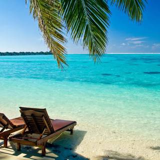 Cool summer scenes wallpaper