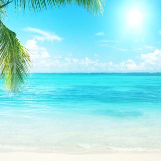 Cool summer scenes wallpaper