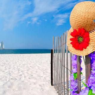 Cool summer scenes wallpaper