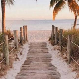 Beach summer aesthetic wallpaper