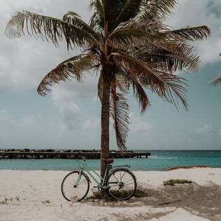 Beach summer aesthetic wallpaper