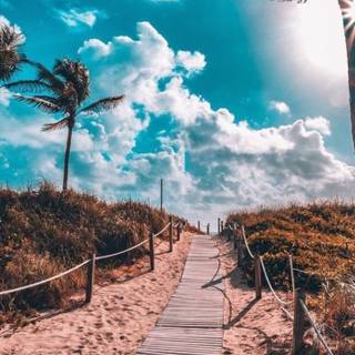 Beach summer aesthetic wallpaper