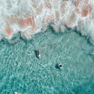 Beach summer aesthetic wallpaper