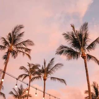 Summer aesthetic preppy wallpaper