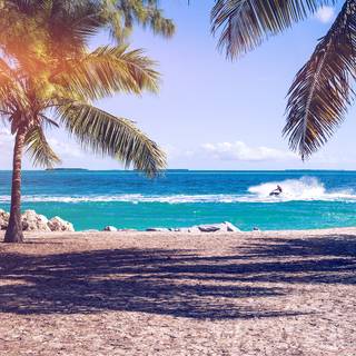 Beach summer aesthetic wallpaper