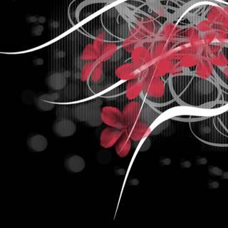 Black spring abstract wallpaper