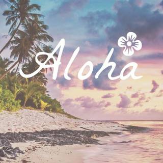 Summer aesthetic preppy wallpaper