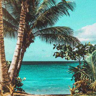 Beach summer aesthetic wallpaper