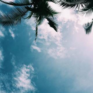 Summer vibes tablet wallpaper