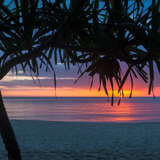 Summer vibes desktop wallpaper