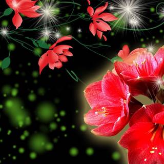 Black spring abstract wallpaper